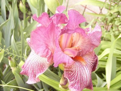P1350870