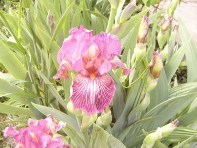 P1350871