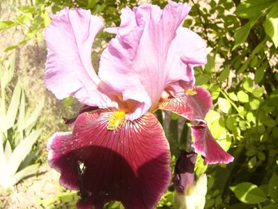 P1350877