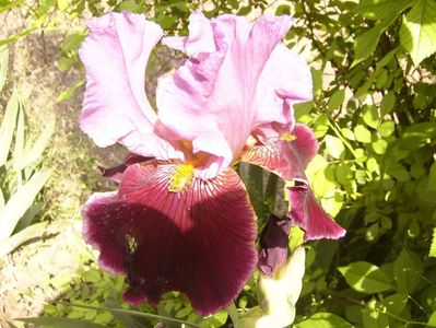 P1350879