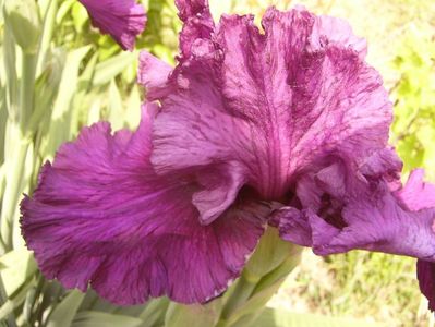 P1350901