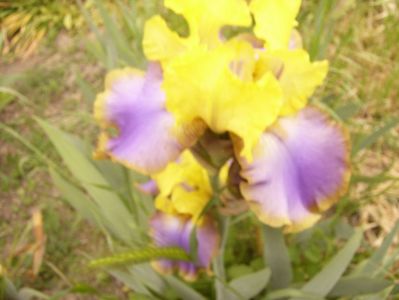 P1360030