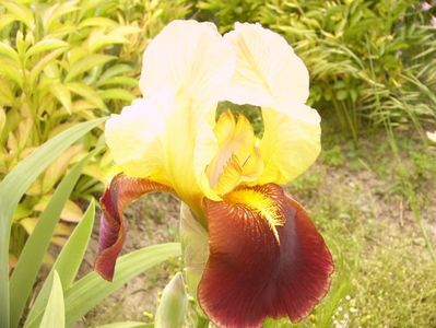 P1360053