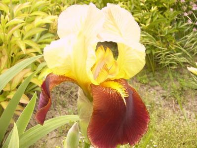 P1360054