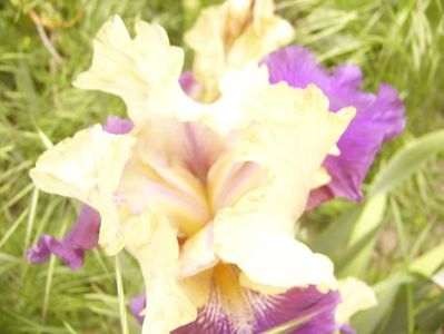 P1360059