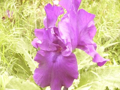 P1360063