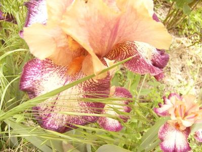 P1360065