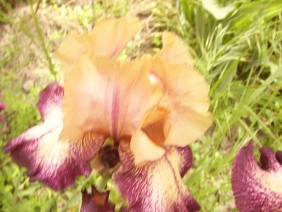 P1360066