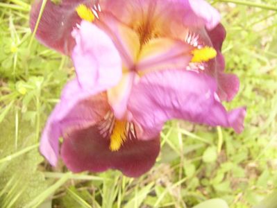 P1360067