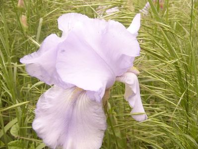 P1360082