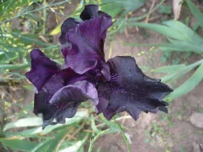 P1440140
