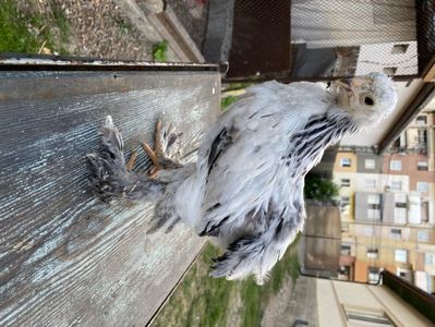 00498BB2-5A90-4590-848E-68824D733B7A