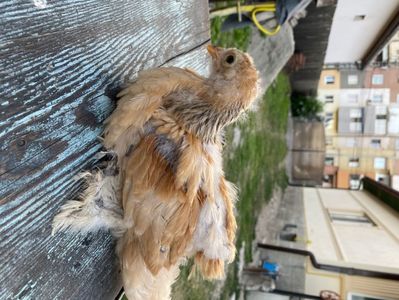 81CC35D4-4BE6-4D4D-BFB5-BB6B8E882C6E