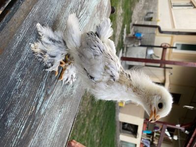 C7B6F7D1-0B20-4008-9DEF-1D3F7A5BC472