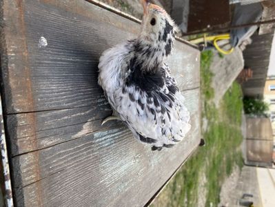 4EC73492-C453-470B-BEAC-7AFA86EED8AE