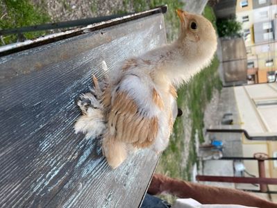 E1CC8D5C-6455-4690-A92D-96B6B70F5019