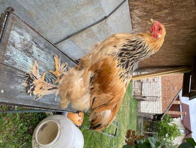 F31034CE-60F6-42F4-A1F0-3E1609BDCFA1