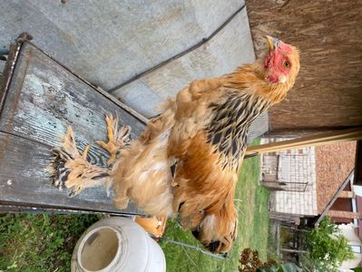 13CE04BF-D942-4551-9E88-F38E4EB1011E