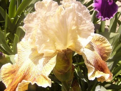 P1360091