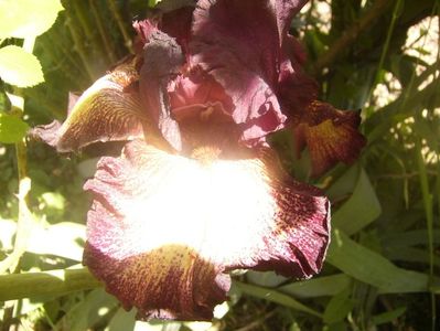 P1360093