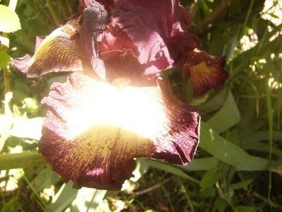 P1360094