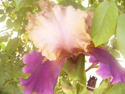 P1360097