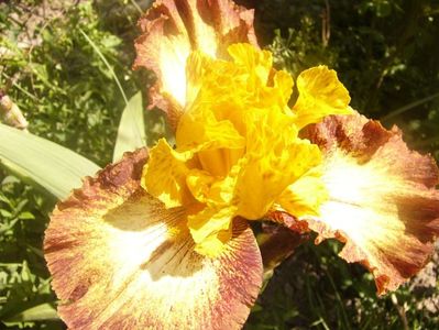 P1360113