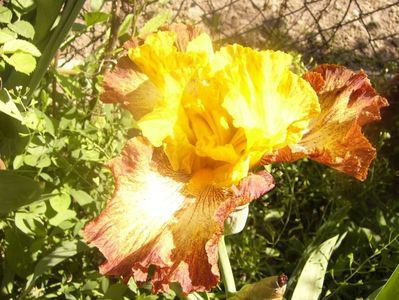 P1360116