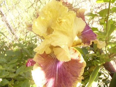 P1360128