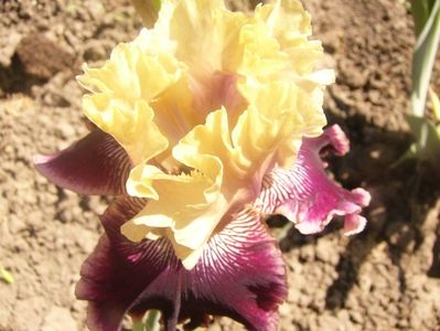 P1360143