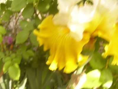 P1360230