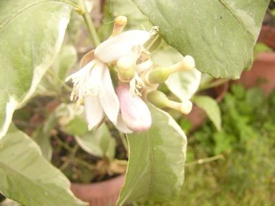 P1360235