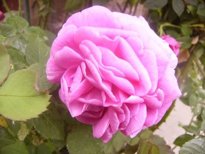 P1360238