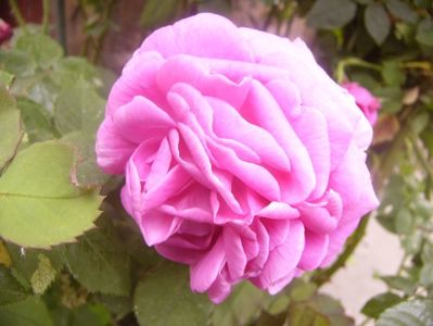 P1360239