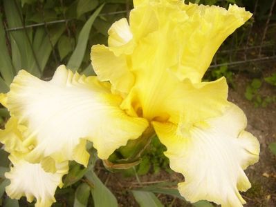 P1360247