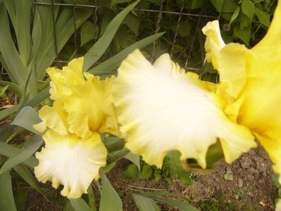 P1360248