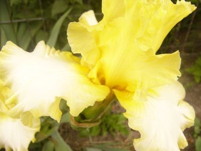P1360250