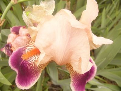 P1360251