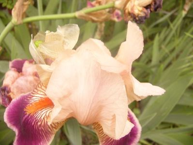 P1360253