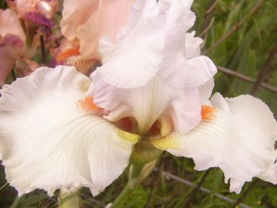 P1360254