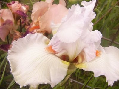 P1360256