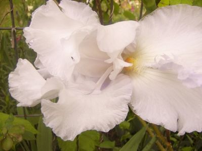 P1360261