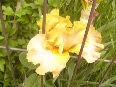 P1360274
