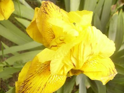 P1360280