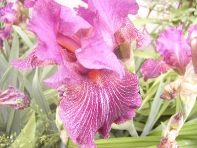 P1360293
