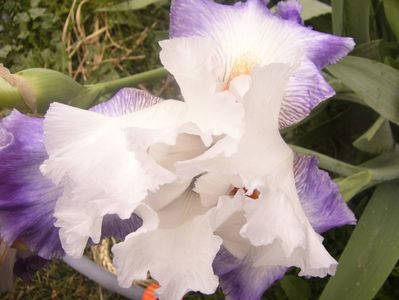 P1360304