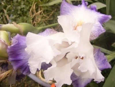 P1360305