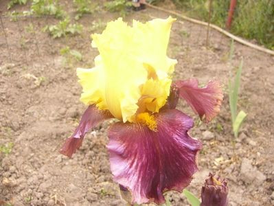 P1360341