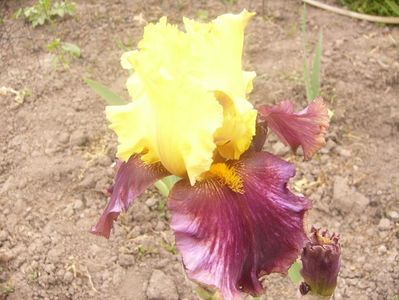P1360348