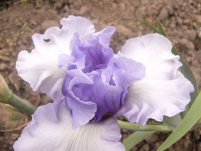 P1360352